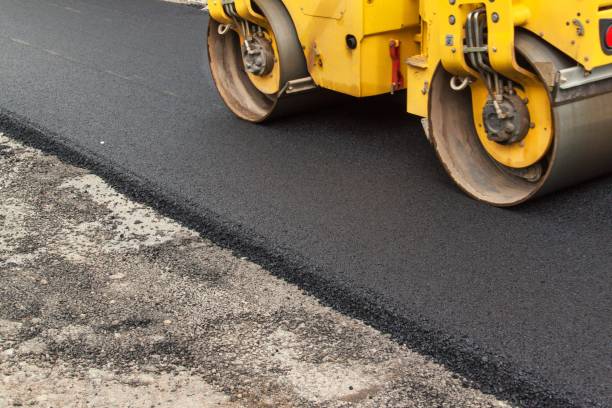 Best Professional Driveway Pavers  in Howey In The Hills, FL